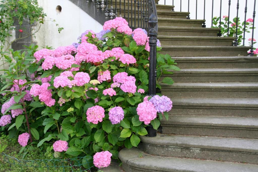 Manoir De La Manantie - Teritoria Bed & Breakfast Lezoux Exterior photo